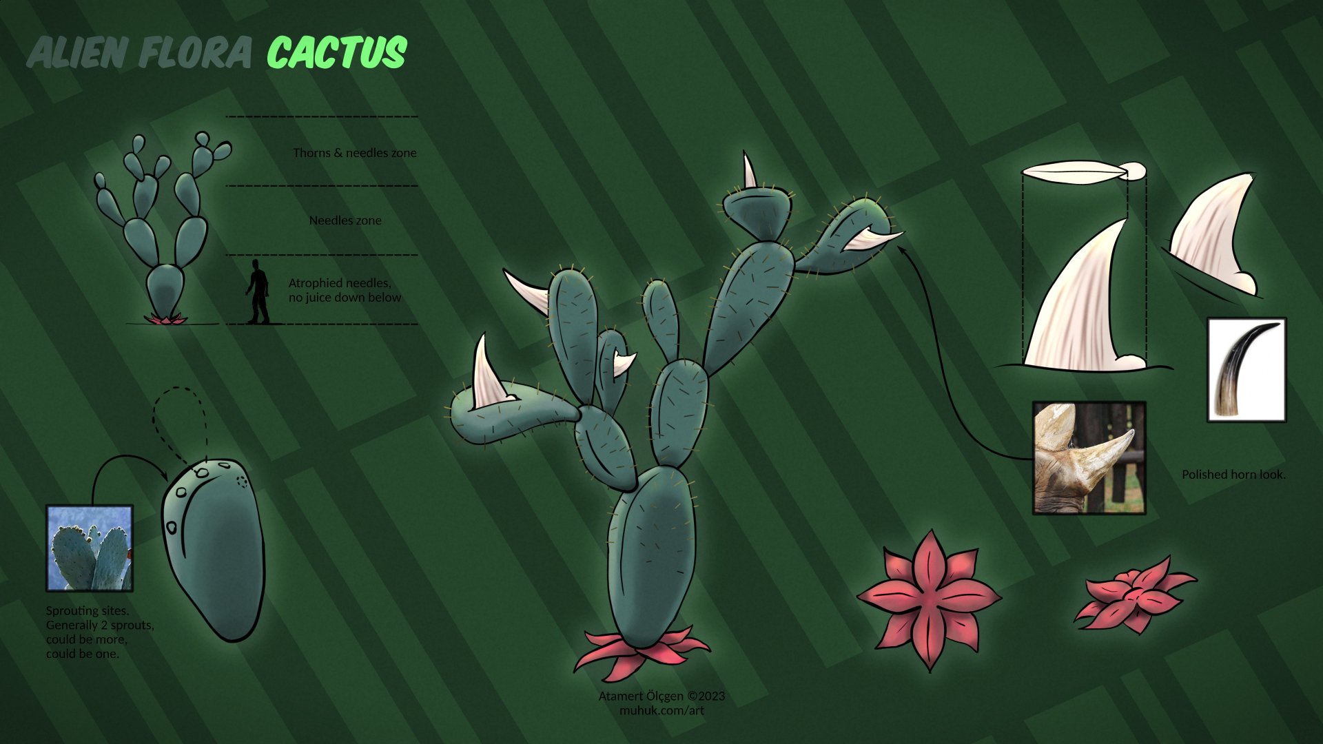 alien-flora-cactus-jpeg