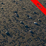 thumbnail for dirt-texture